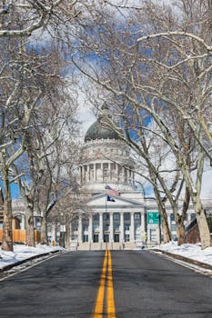 A majestic view of the Capitol building surrounded by snow and trees.