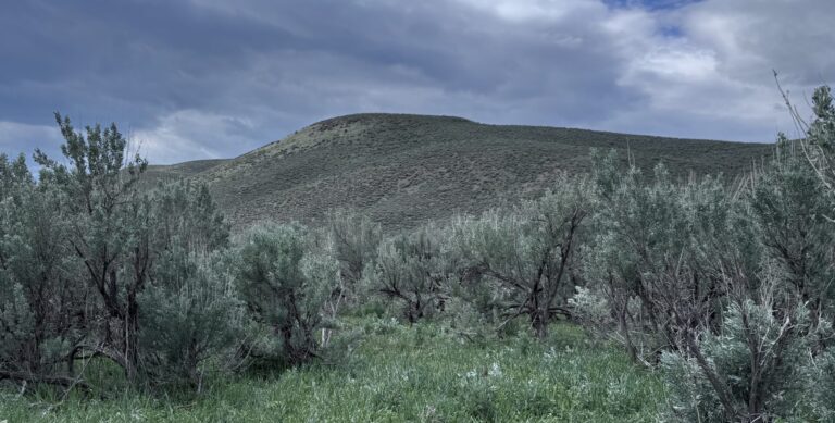 Healthy rangeland from land stewardship
